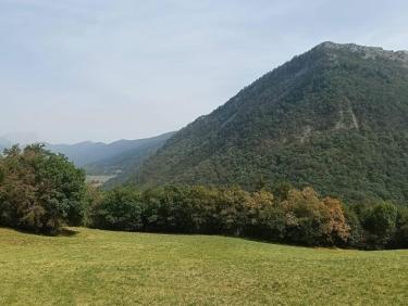 Colchiques dans les prés 