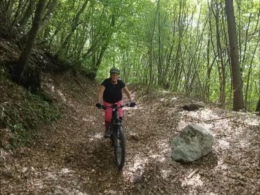 Colchiques dans les prés 