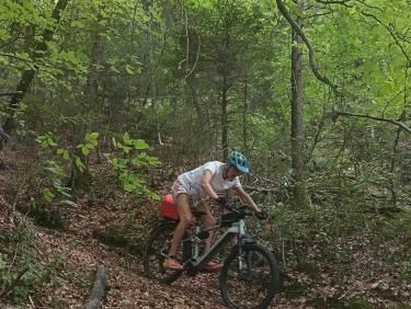 Colchiques dans les prés 