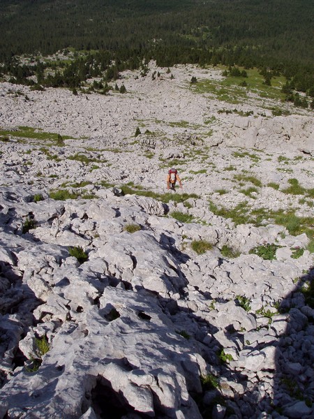 combe de Fer