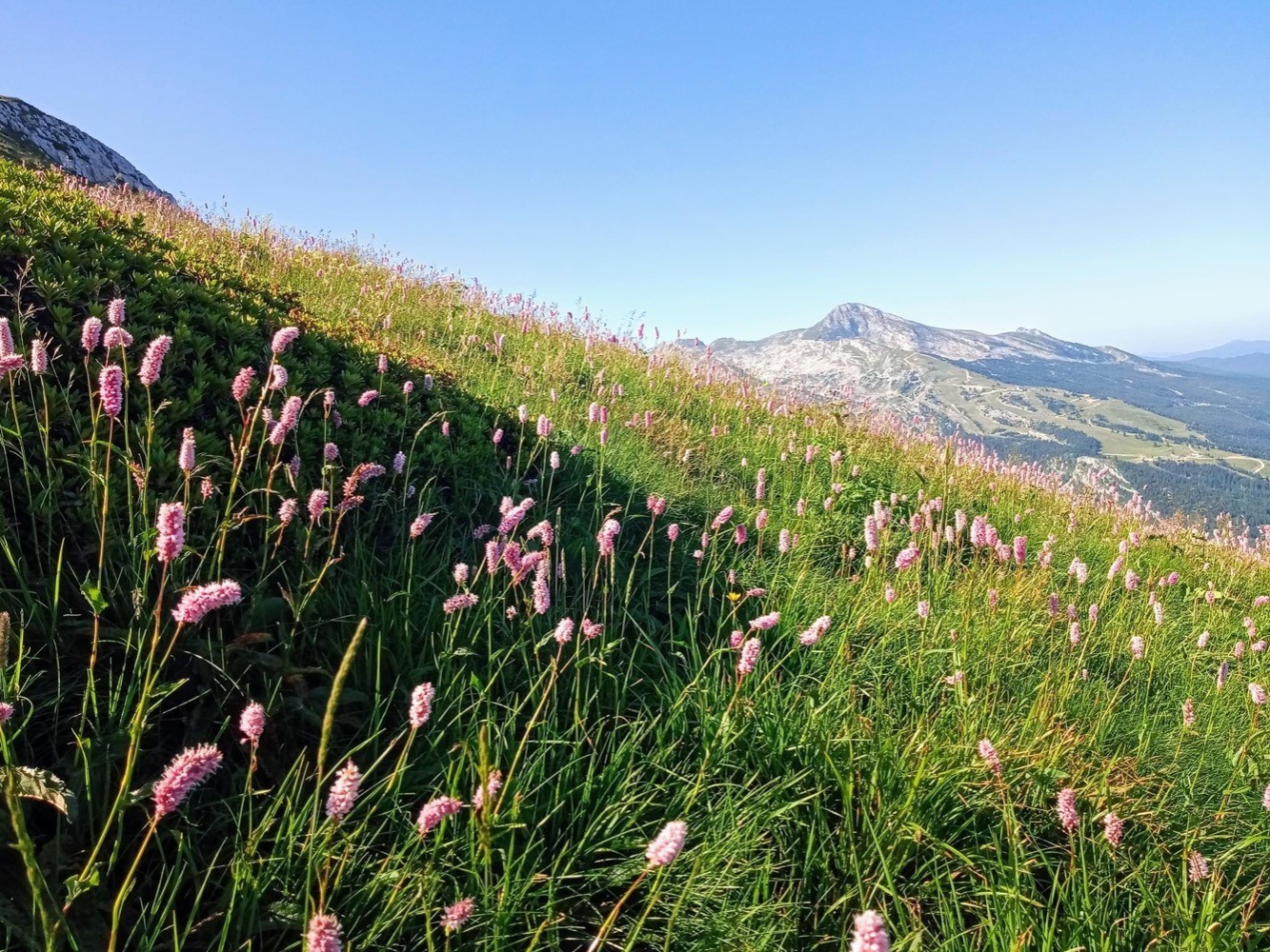 Combo parapente / famille dans le Vercors