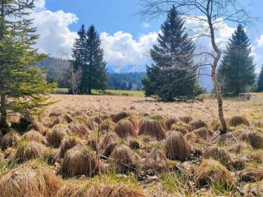 Comment j&apos;ai perdu les pédales 