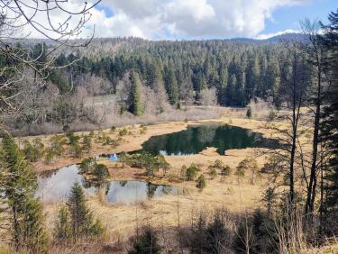 Comment j&apos;ai perdu les pédales 