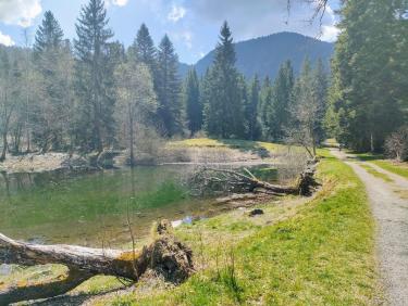 Comment j&apos;ai perdu les pédales 