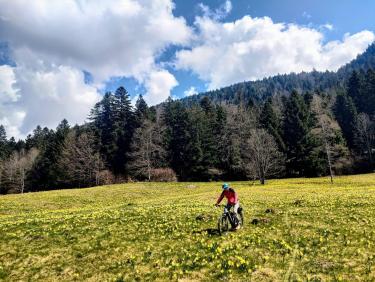 Comment j&apos;ai perdu les pédales 
