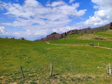 Comment j&apos;ai perdu les pédales 