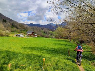 Comment j&apos;ai perdu les pédales 