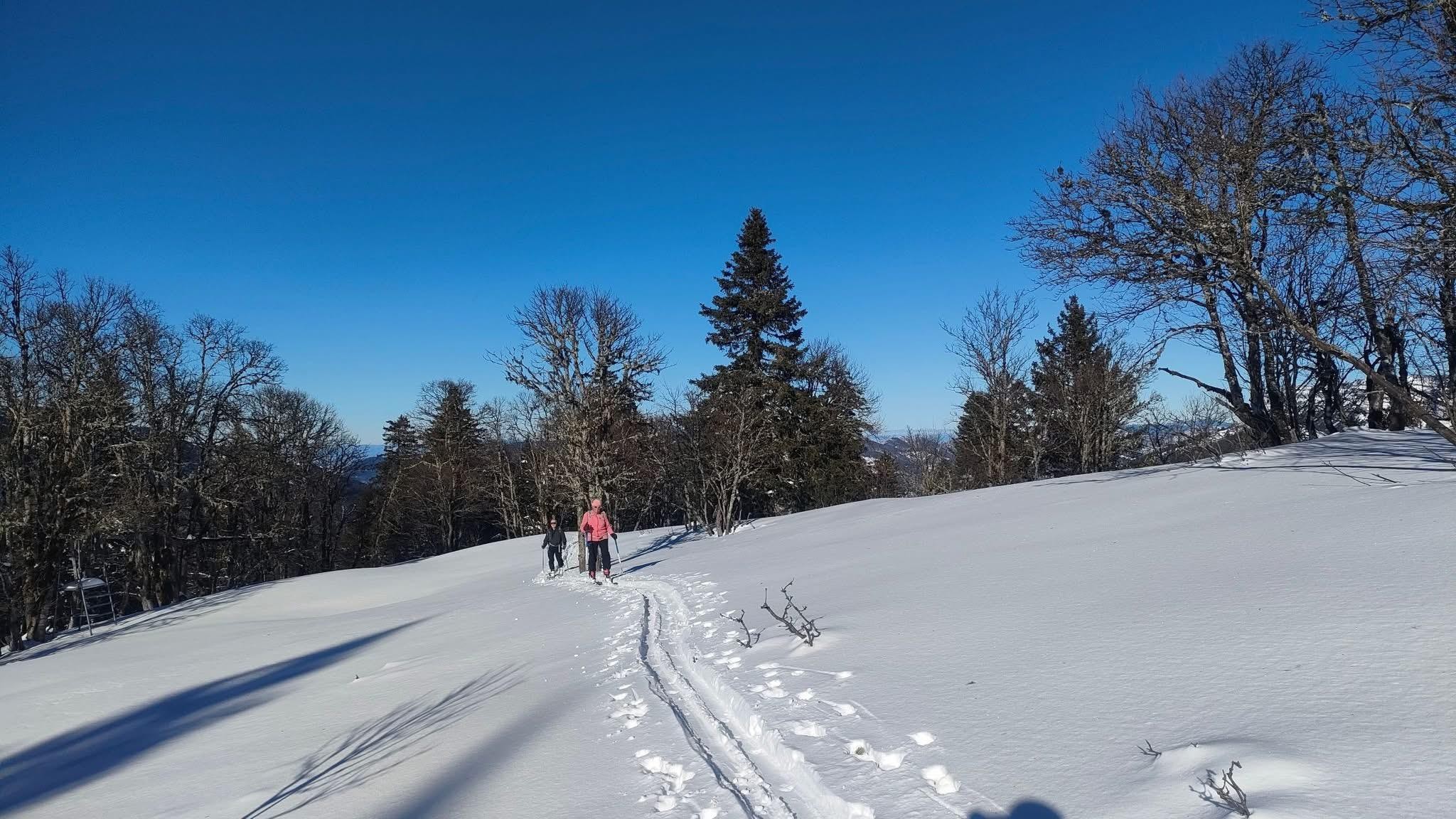 Comment on s'est perdus en montant à la Scia 