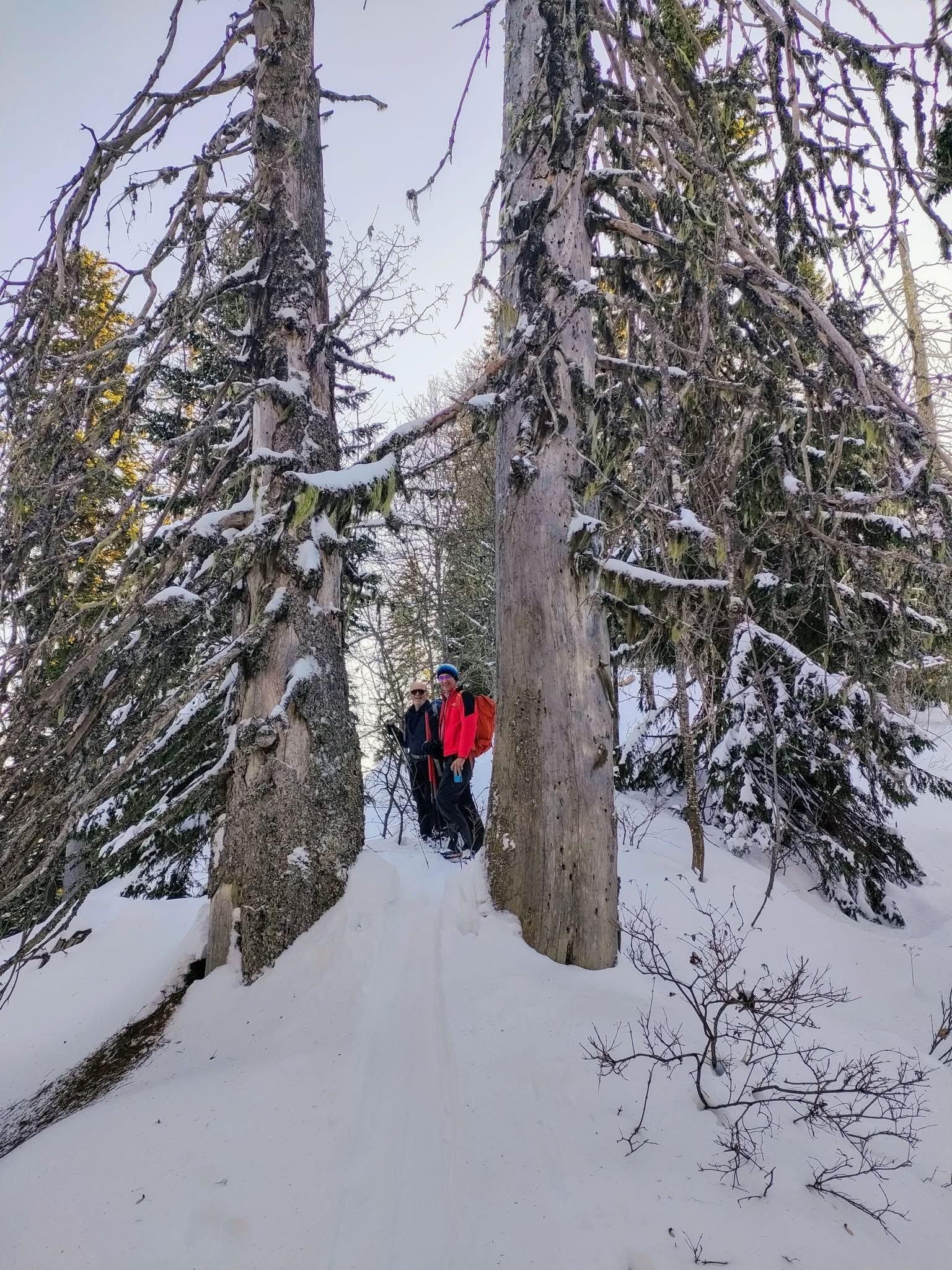 Comment on s'est perdus en montant à la Scia 