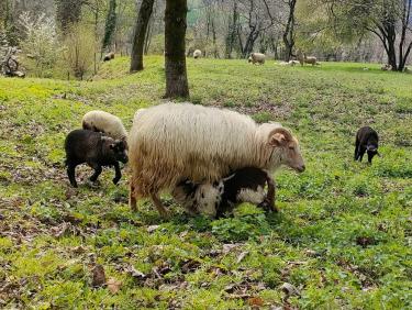 Comment on a failli finir dans le décor !