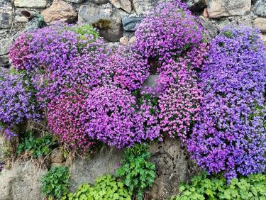 Comment on a failli finir dans le décor !