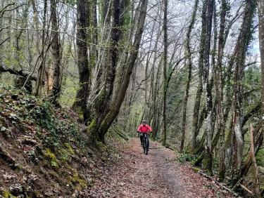 Comment on a failli finir dans le décor !