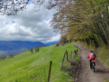 Comment on a failli finir dans le décor !