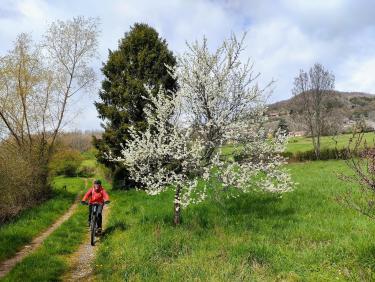 Comment on a failli finir dans le décor !