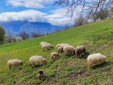 Comment on a failli finir dans le décor !