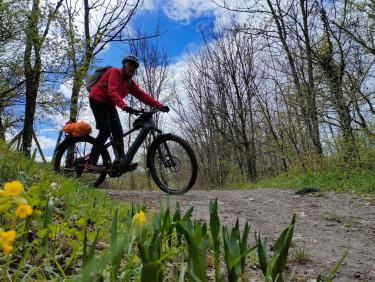 Comment on a failli finir dans le décor !