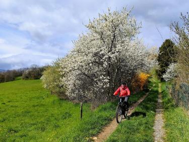 Comment on a failli finir dans le décor !