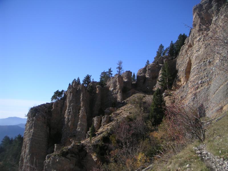 comptoir à moutons