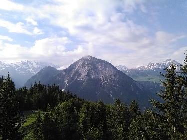 des contrastes saisissants