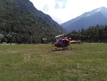 Un drole d'insecte en plein milieu de l'attÃ©rro