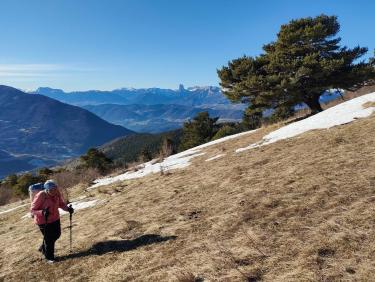 Conditions printanières !