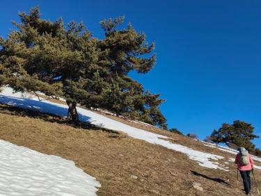 Conditions printanières !