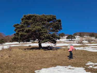 Conditions printanières !