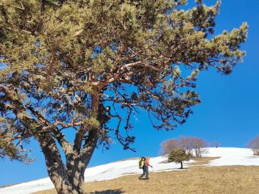 Conditions printanières !