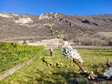 Conditions printanières