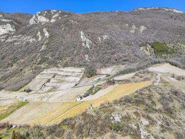 Conditions printanières