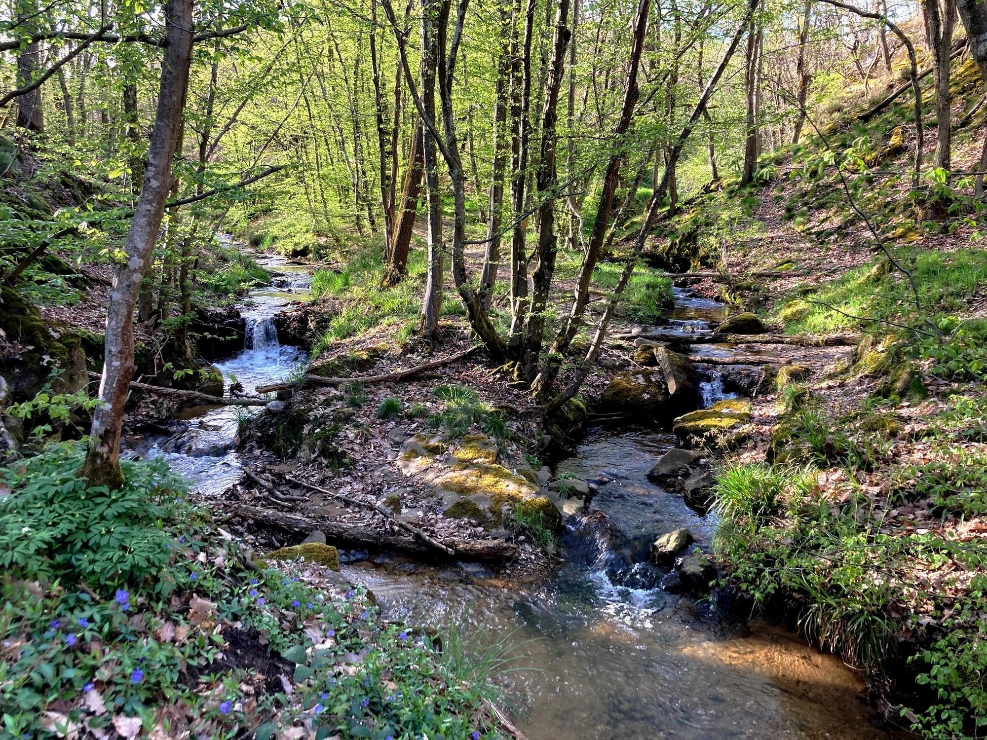 Confluence