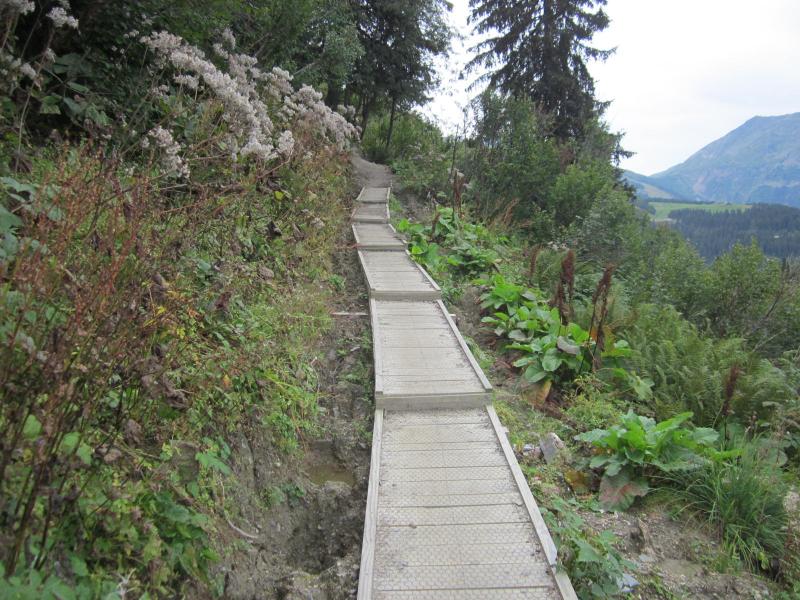 conseils pour la Chartreuse...