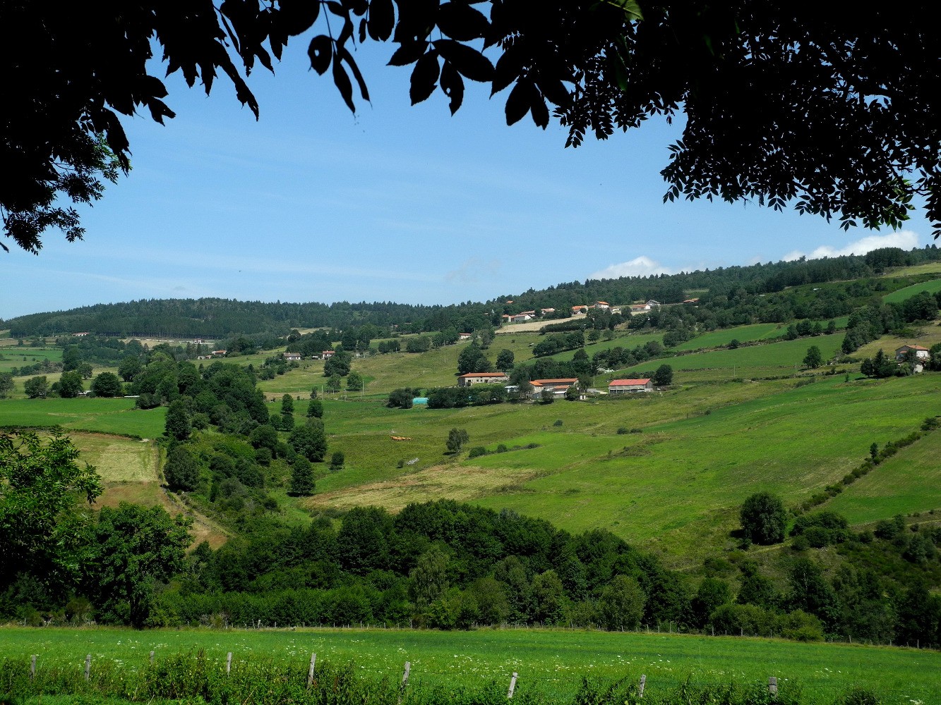 Contre-plongÃ©e vers JeansagniÃ¨re