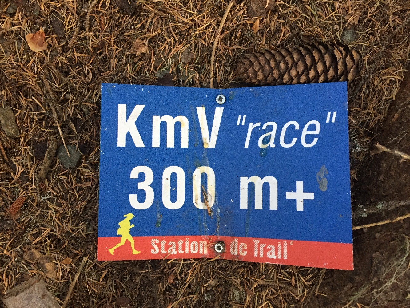 cool une Ã¢me charitable a commencÃ© Ã  arracher ces putains de plaques immondes 