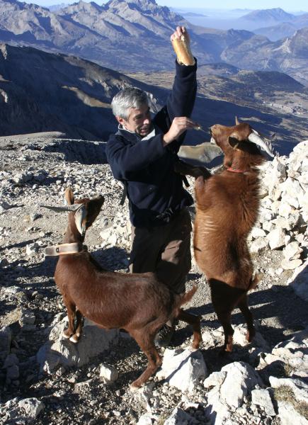 corrida au sommet de Bure