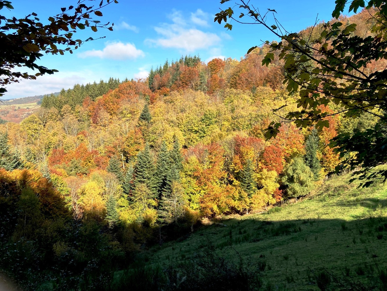 Couleurs d'automne