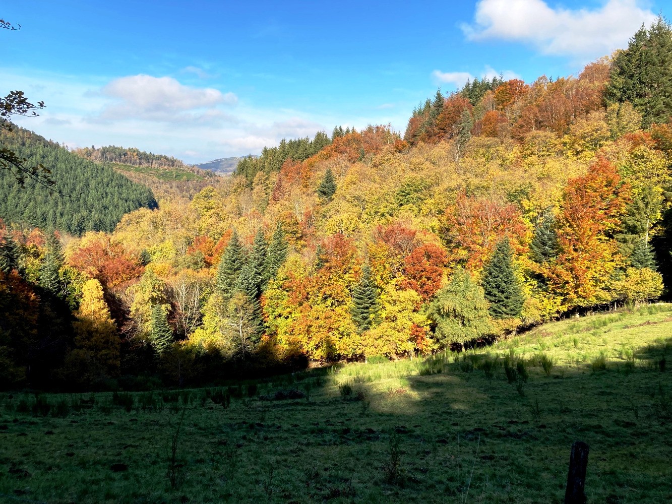 Couleurs d'automne (variante)