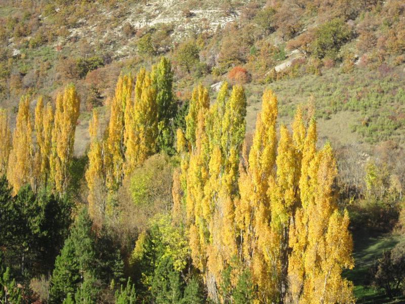 couleurs d'automne