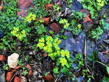 Couleurs sur le chemin des pêcheurs