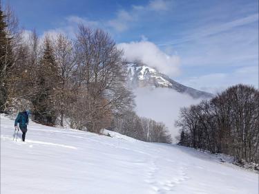 Coup de bol au Baure