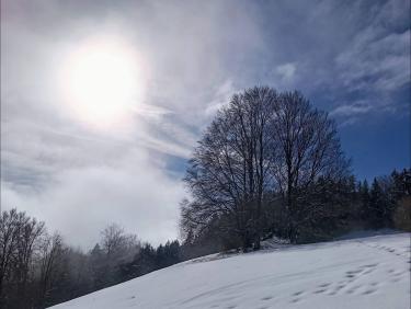 Coup de bol au Baure