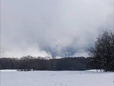 Coup de bol au Baure