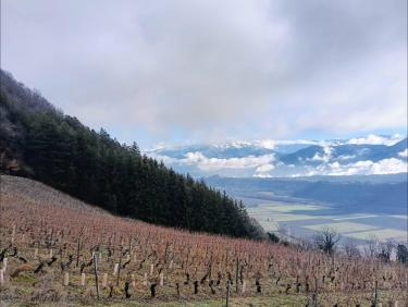 Coup de poker à Montlambert