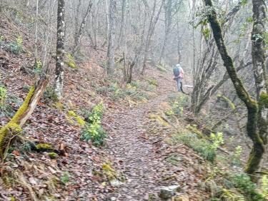 Coup de poker à Montlambert