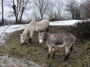 Coup de poker à Montlambert