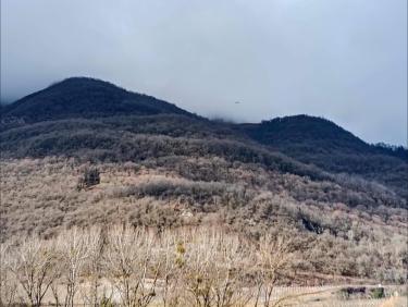 Coup de poker à Montlambert