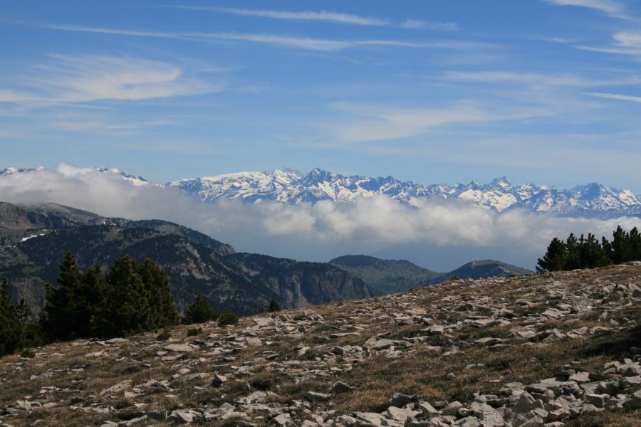coup d' oeil à l' Ouest