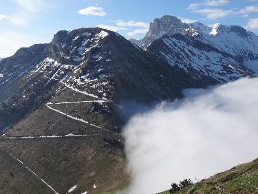 courant d'air sur un matelas de crocus 