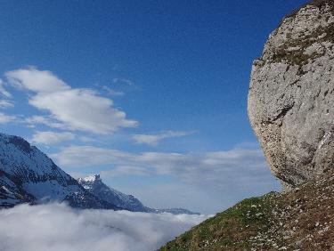 courant d'air sur un matelas de crocus 