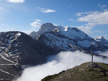 courant d'air sur un matelas de crocus 